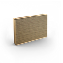 Bang & Olufsen Beosound Level Taşınabilir Multiroom Kablosuz Hoparlör Gold