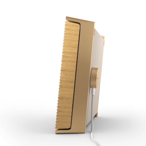 Bang & Olufsen Beosound Level Taşınabilir Multiroom Kablosuz Hoparlör Gold Renkli